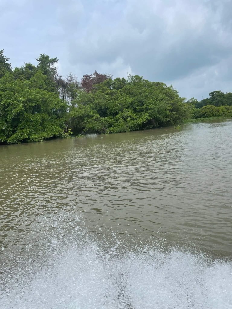 view of the river from speedboat