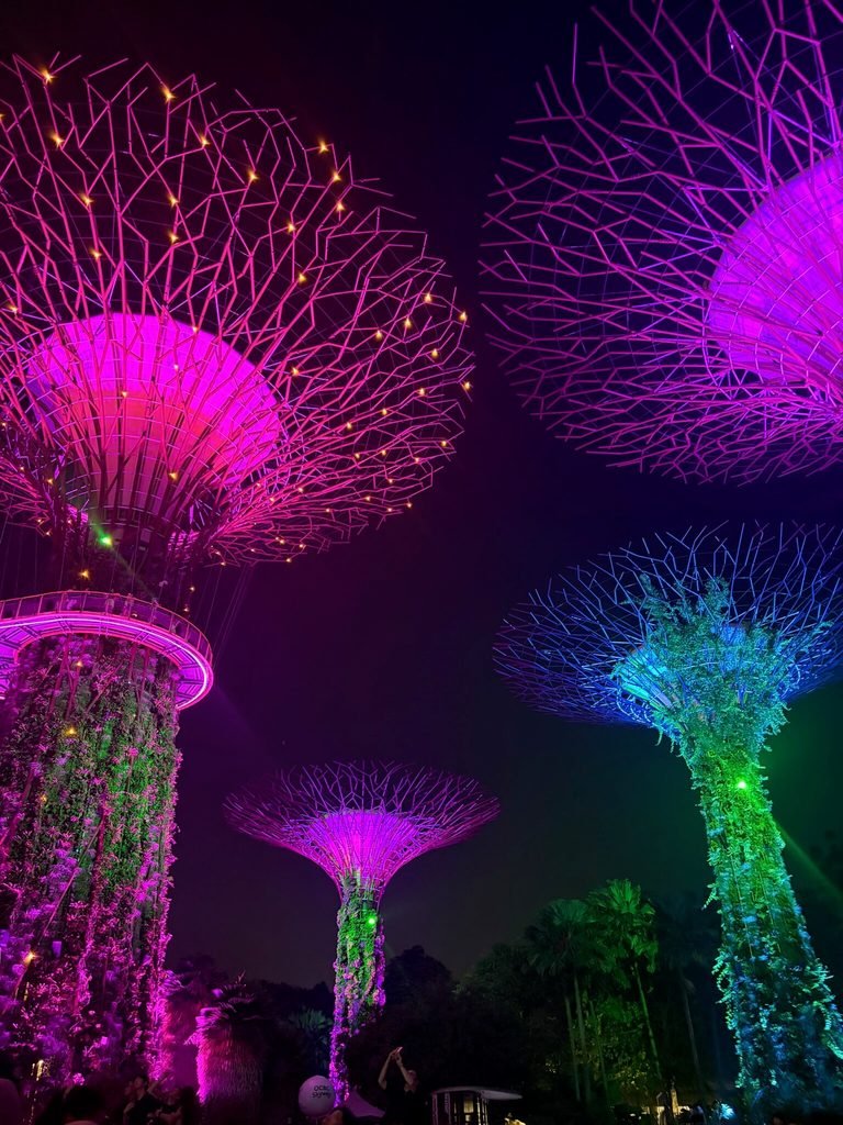 light show in singapore
